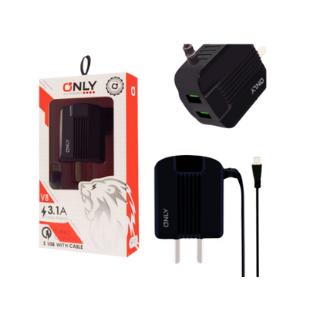 Cargador Lion 3.1